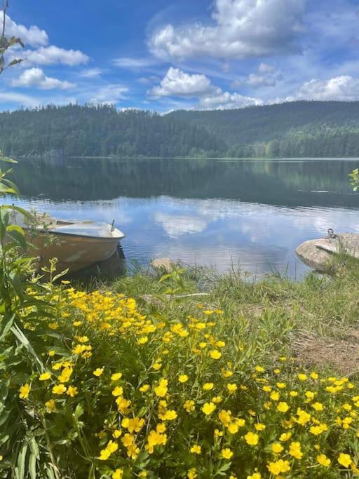 Sjarmerende Hus I Vennesla Dış mekan fotoğraf