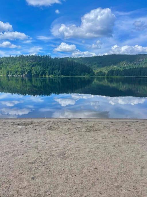 Sjarmerende Hus I Vennesla Dış mekan fotoğraf
